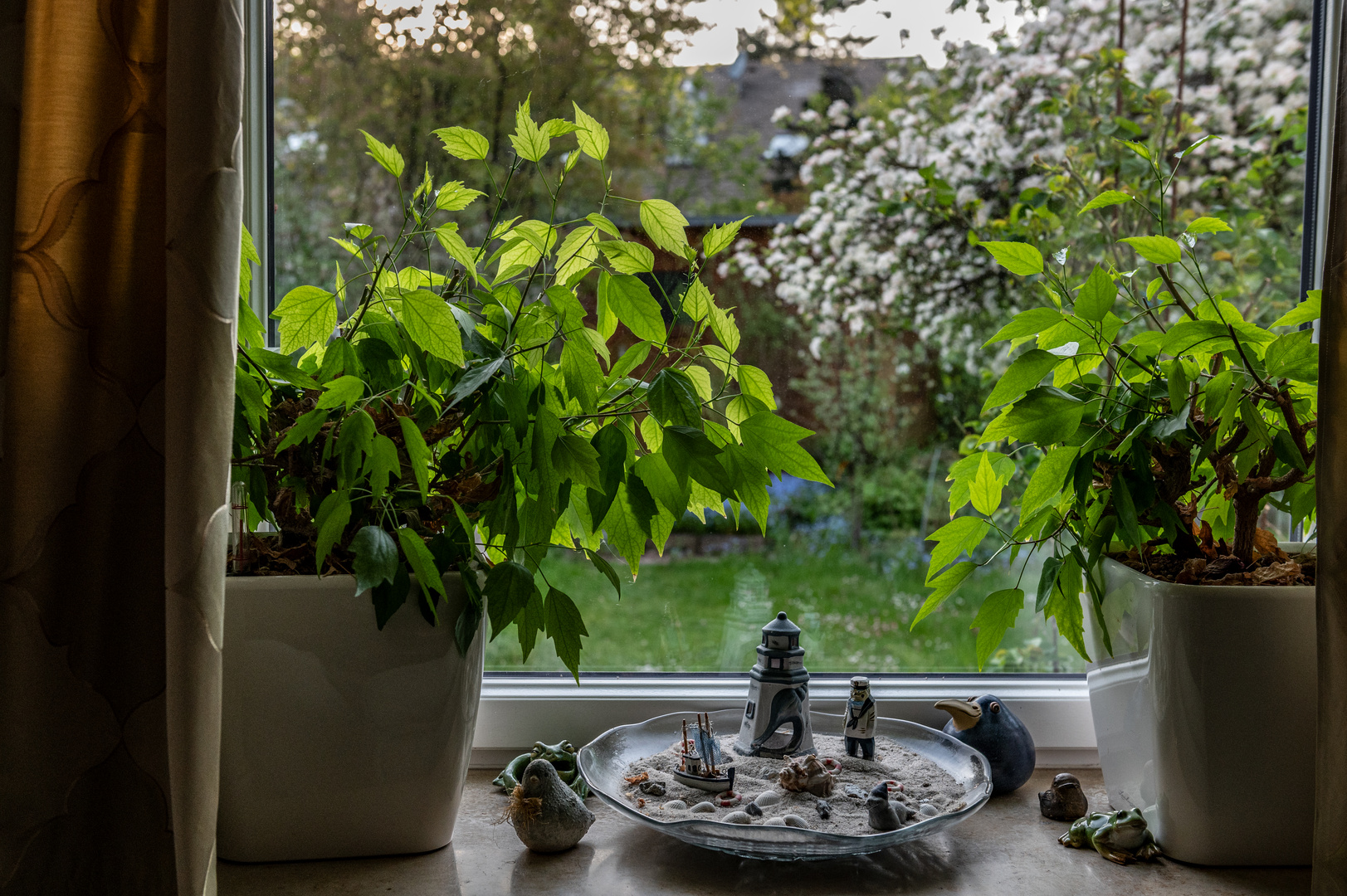 Fenster zum Garten Foto & Bild spezial, fenster, frühling Bilder auf