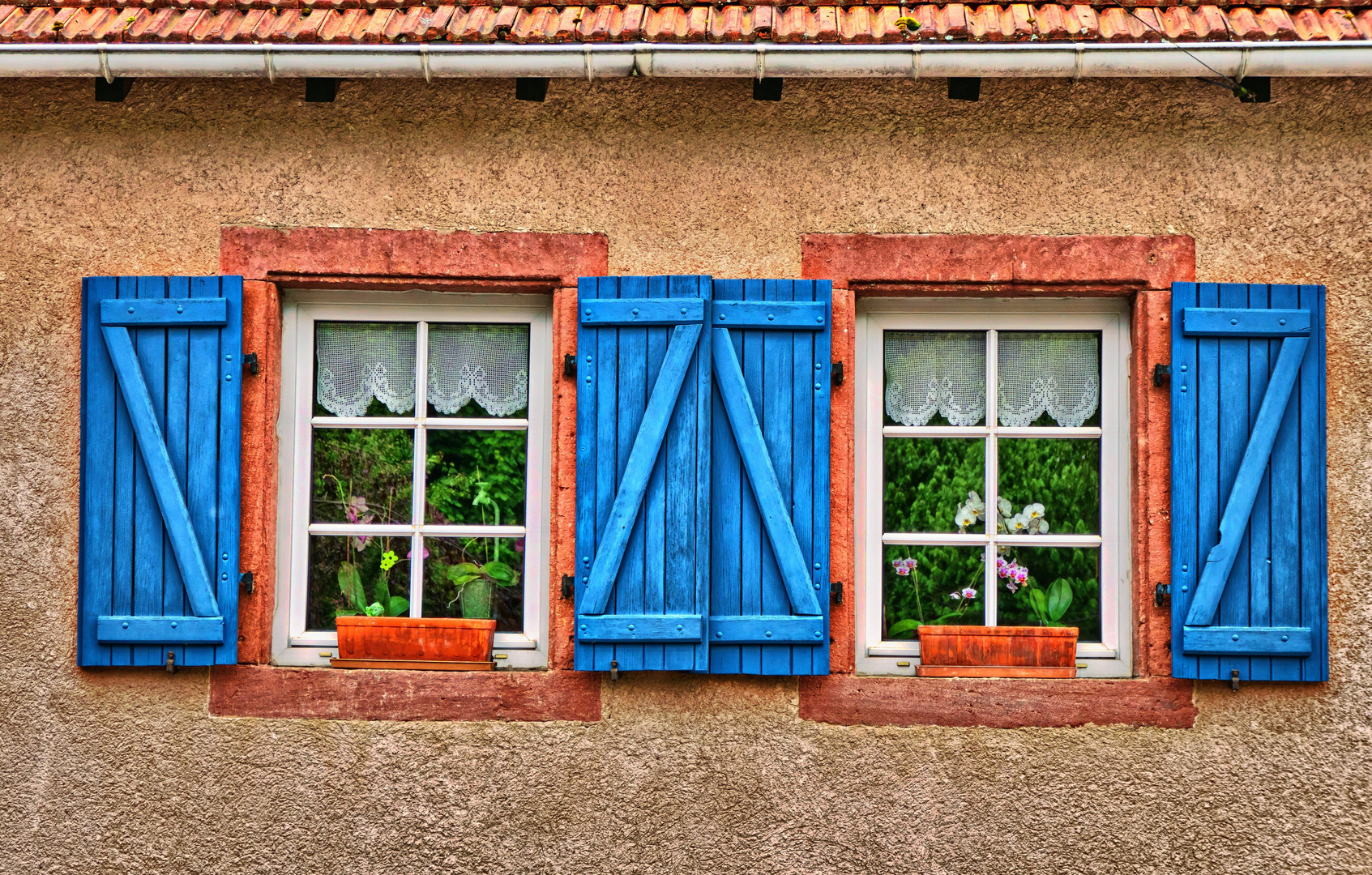 Fenster zum Garten 