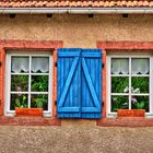 Fenster zum Garten 