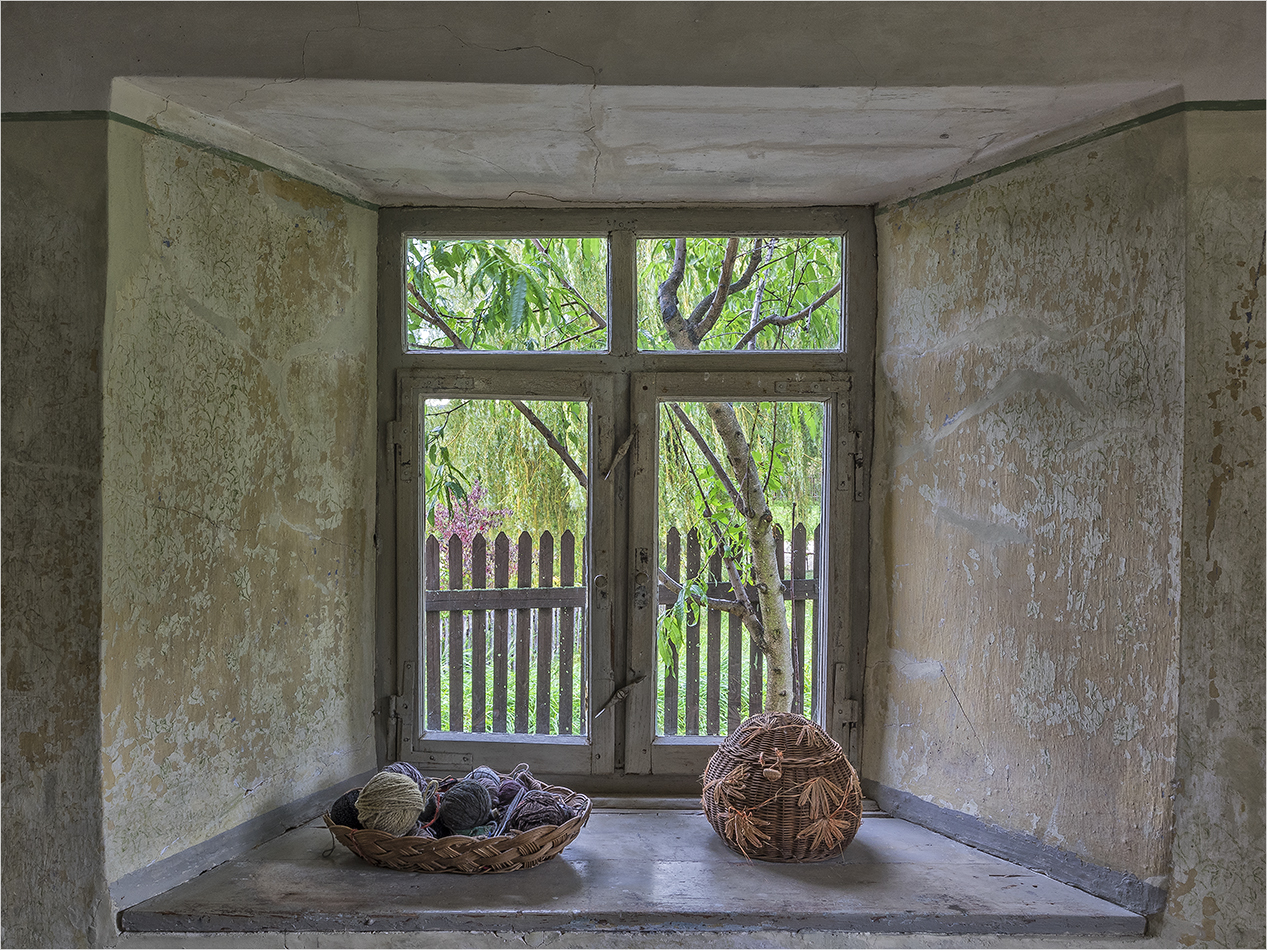 fenster zum garten