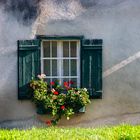 Fenster zum Garten