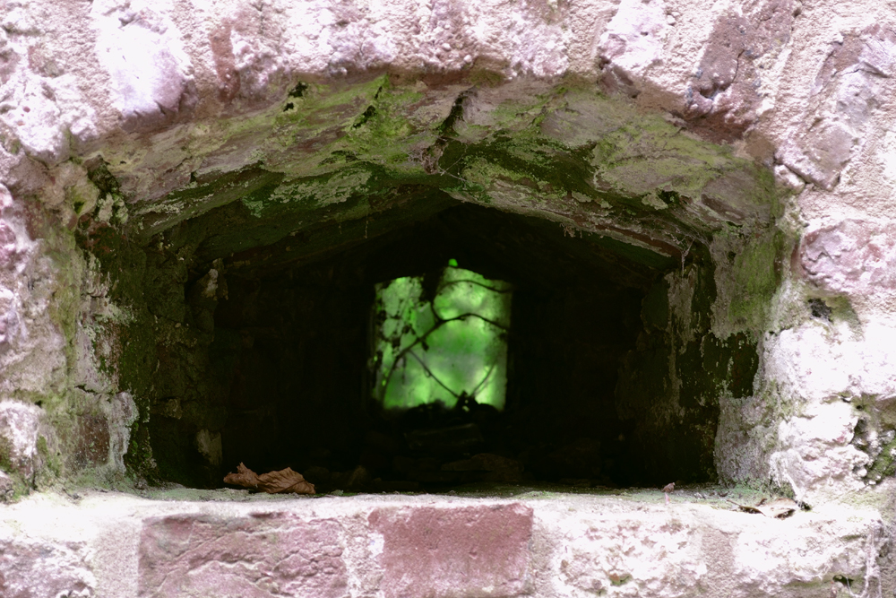 Fenster zum Grünen