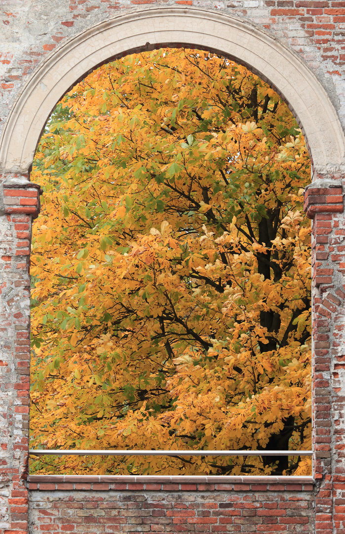 Fenster zum Herbst