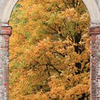 Fenster zum Herbst