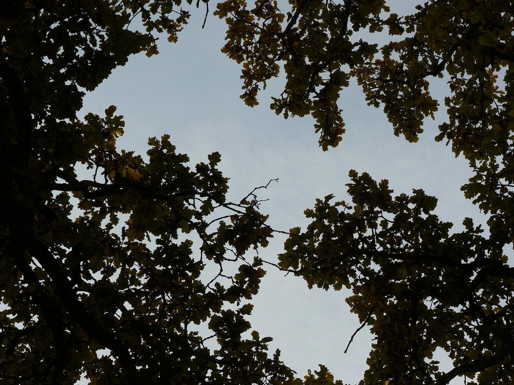 Fenster zum Himmel