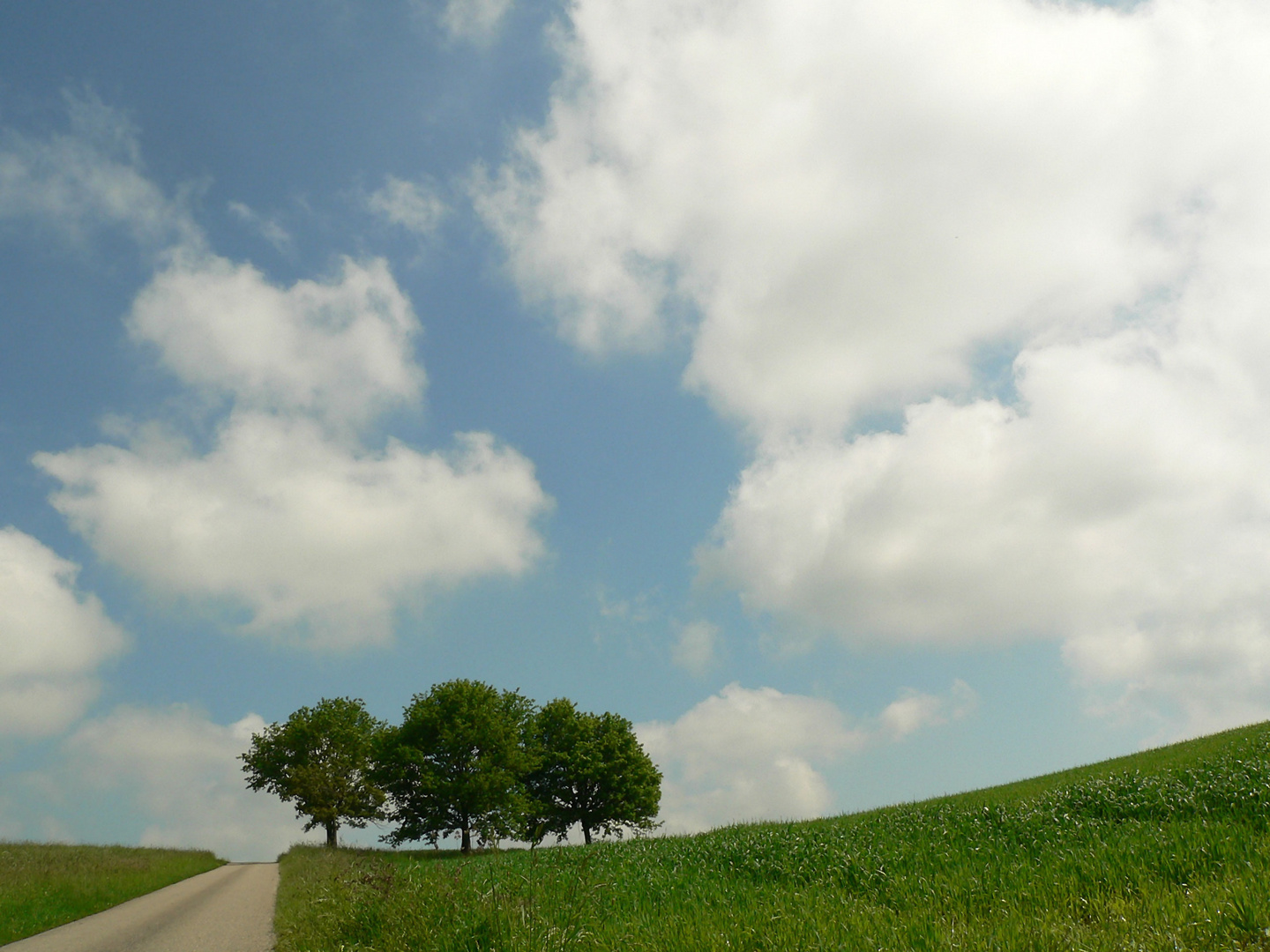 Fenster zum Himmel