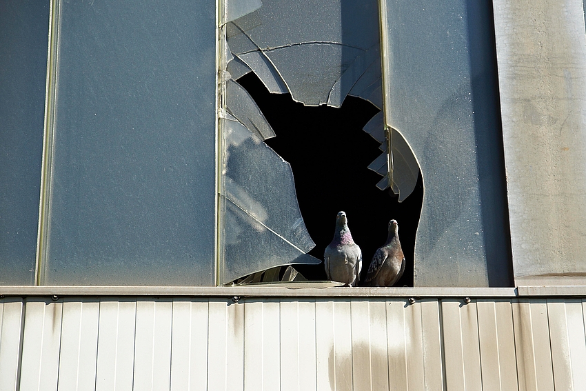 Fenster zum Hof