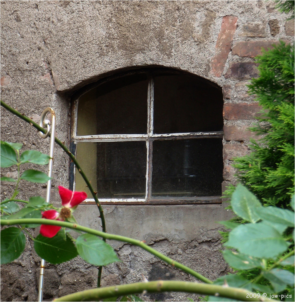 Fenster zum Hof