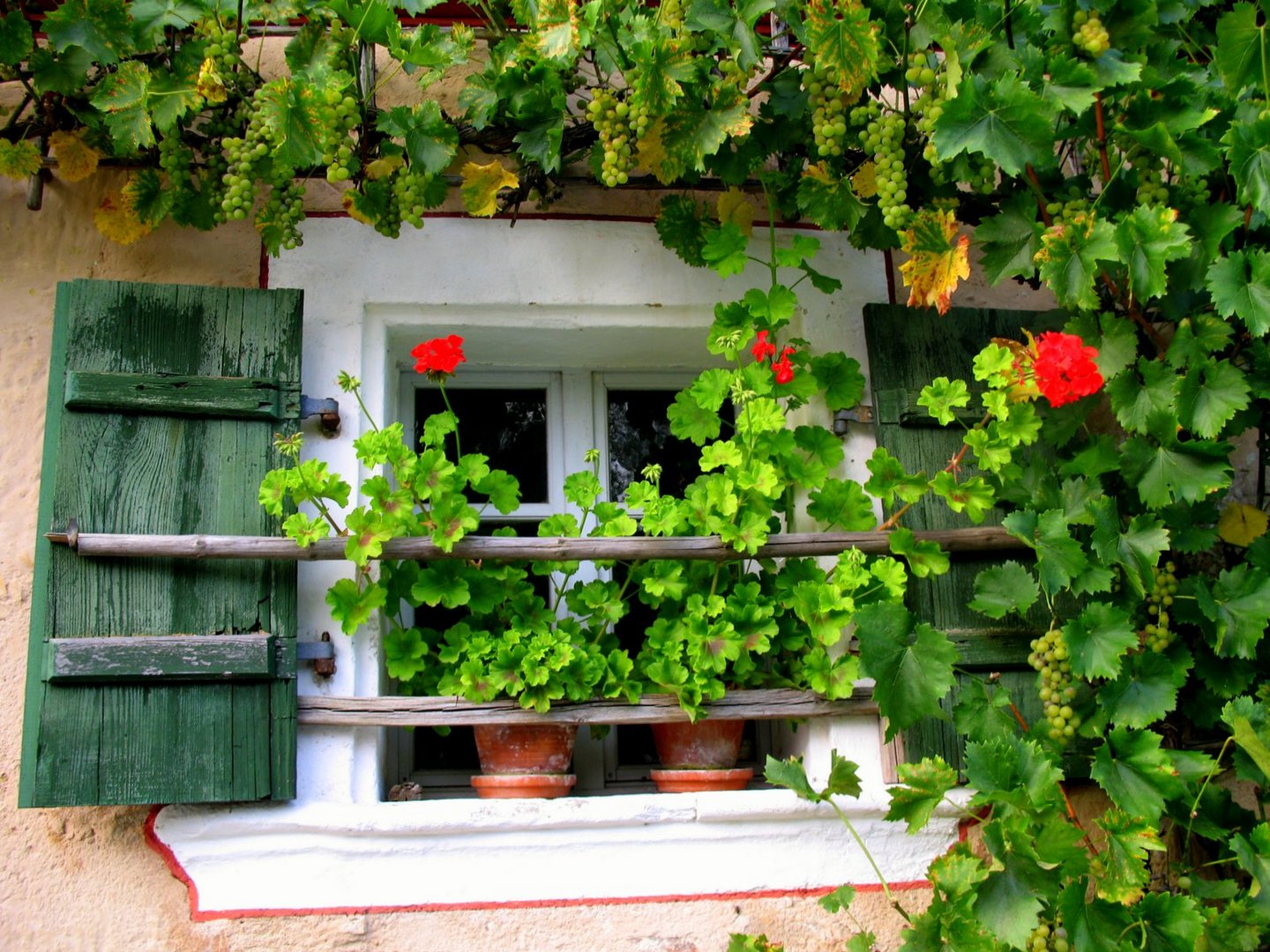 Fenster zum Hof