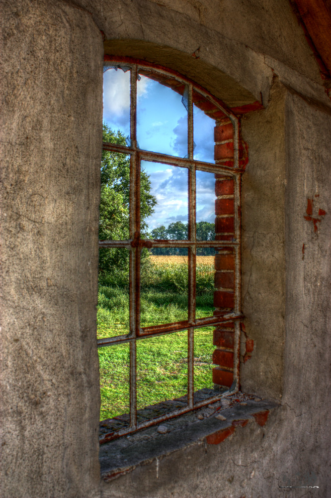 Fenster zum Hof