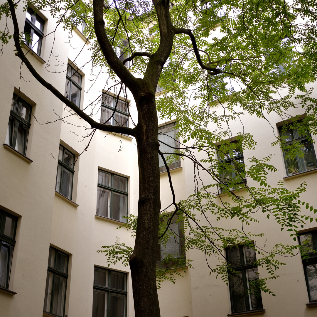 Fenster zum Hof