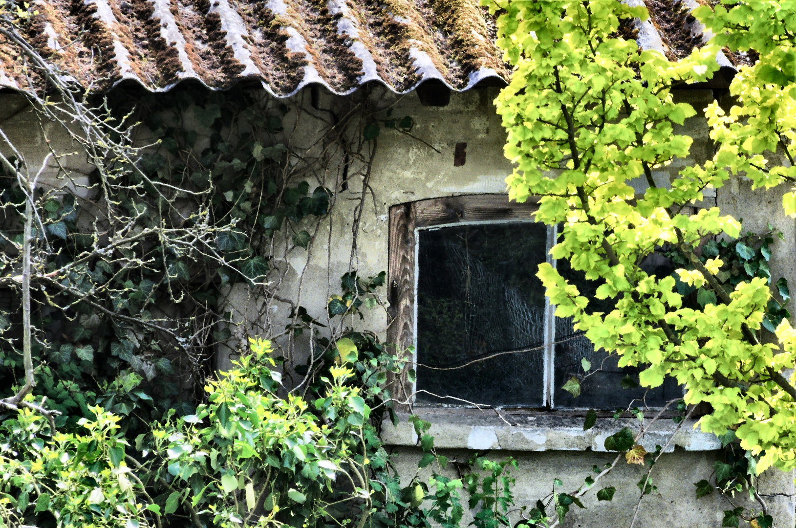 Fenster zum Hof