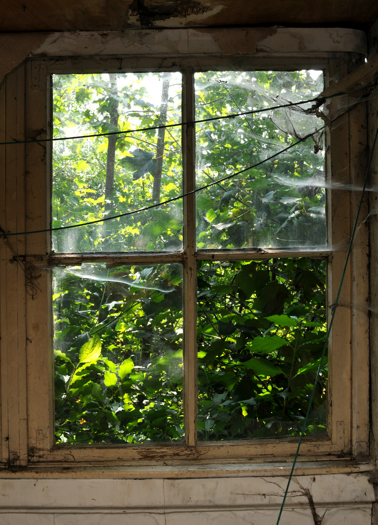 Fenster zum Hof