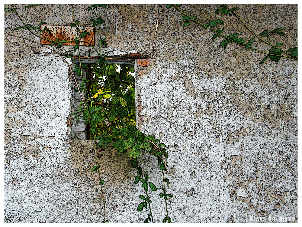 Fenster zum Hof