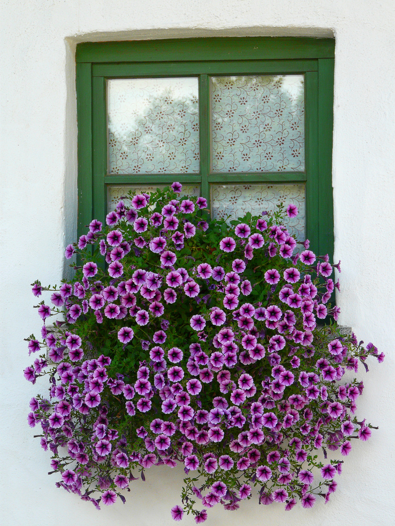 Fenster zum Hof