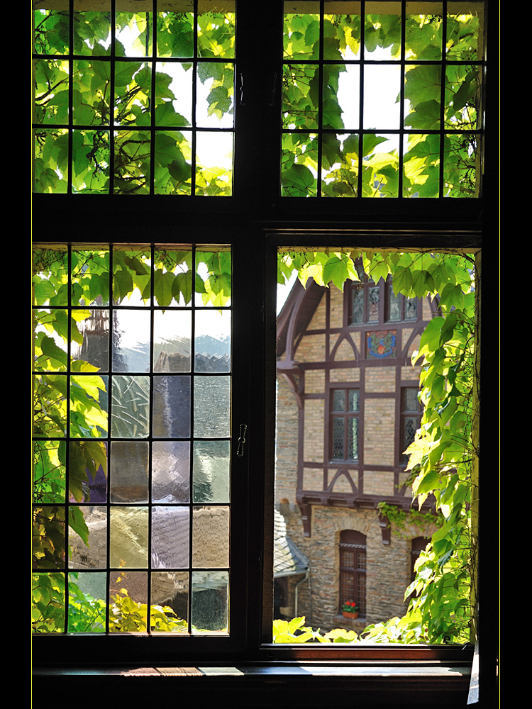 Fenster zum Hof ....