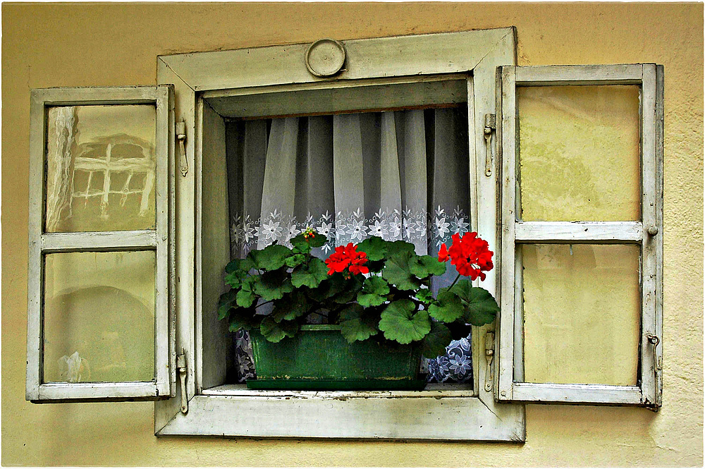 Fenster zum Hof