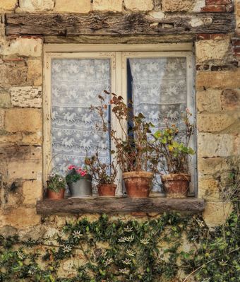 Fenster zum Hof - nicht "lost"!