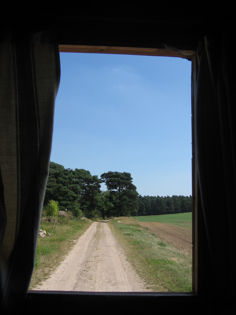 Fenster zum Leben