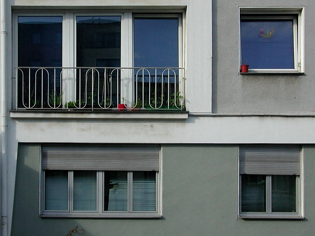 fenster zum leben