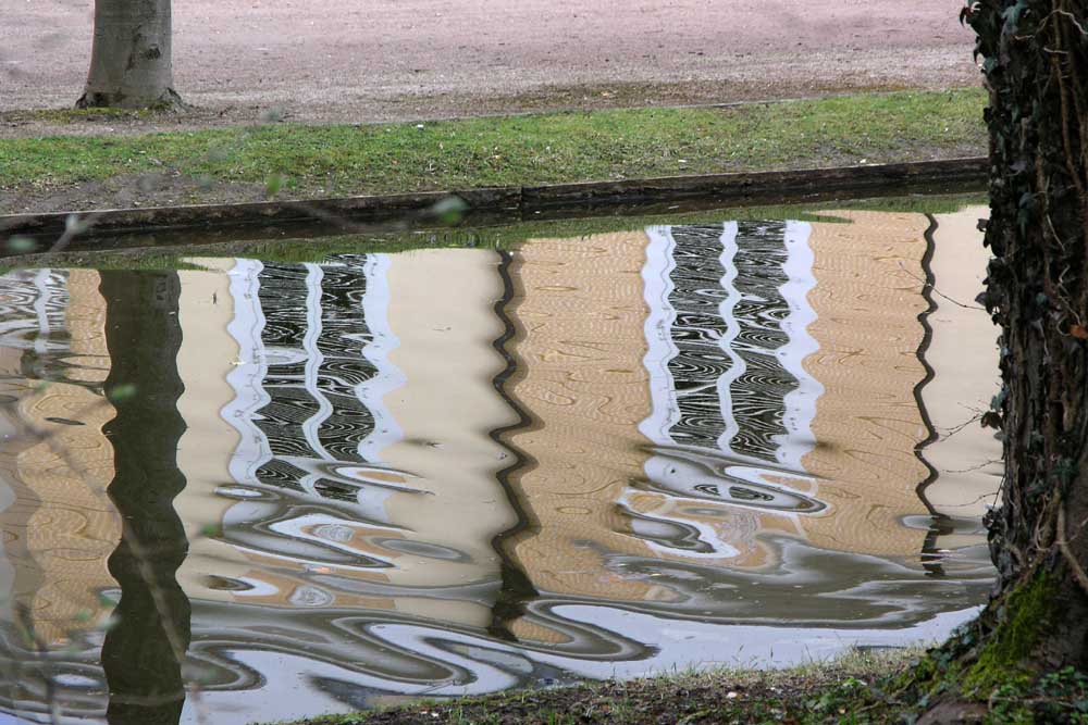 Fenster zum Park