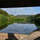 Fenster zum Schwarzwald