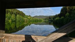 Fenster zum Schwarzwald