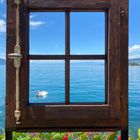 Fenster zum See