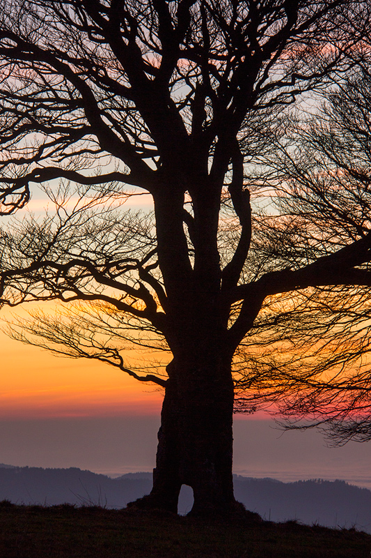 Fenster zum Tal [3]