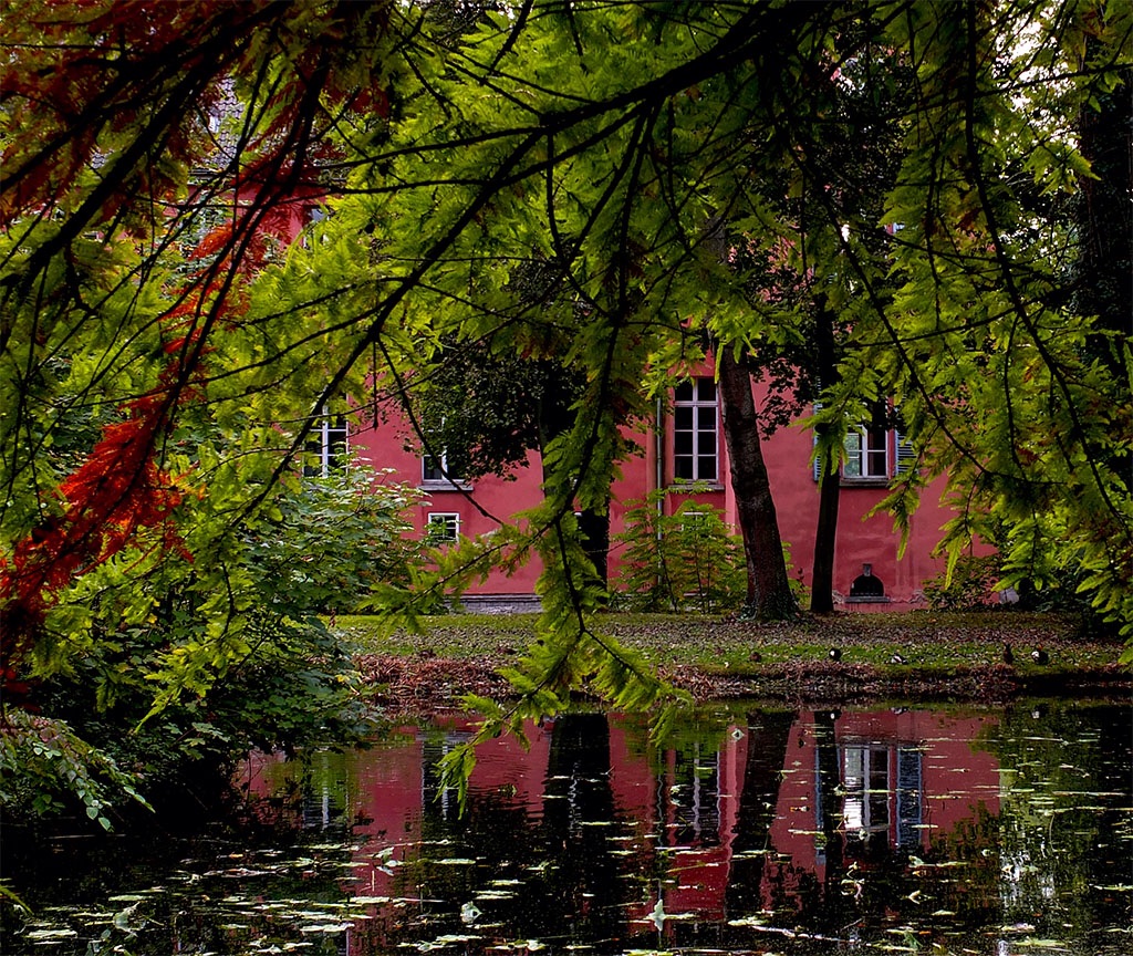 Fenster zum Teich