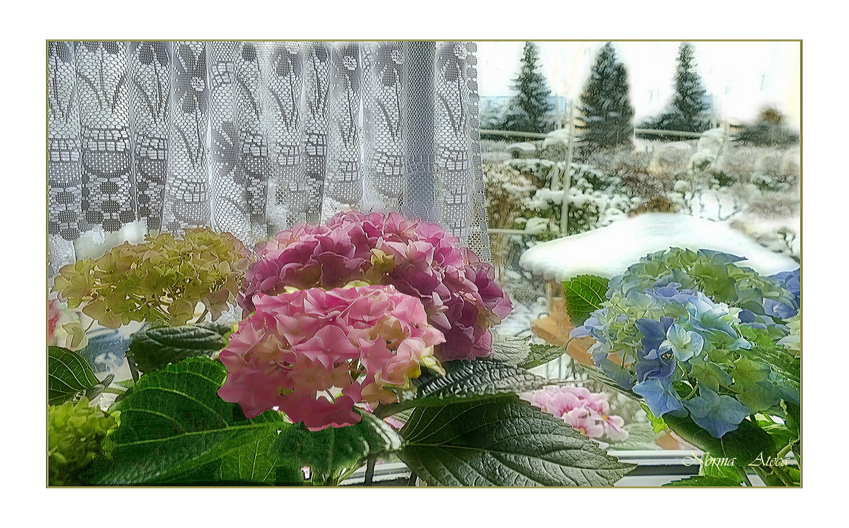 Fenster zum Winter Garten 