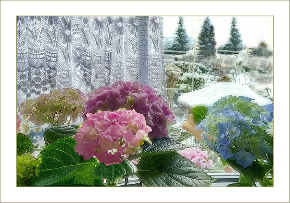 Fenster zum Wintergarten   