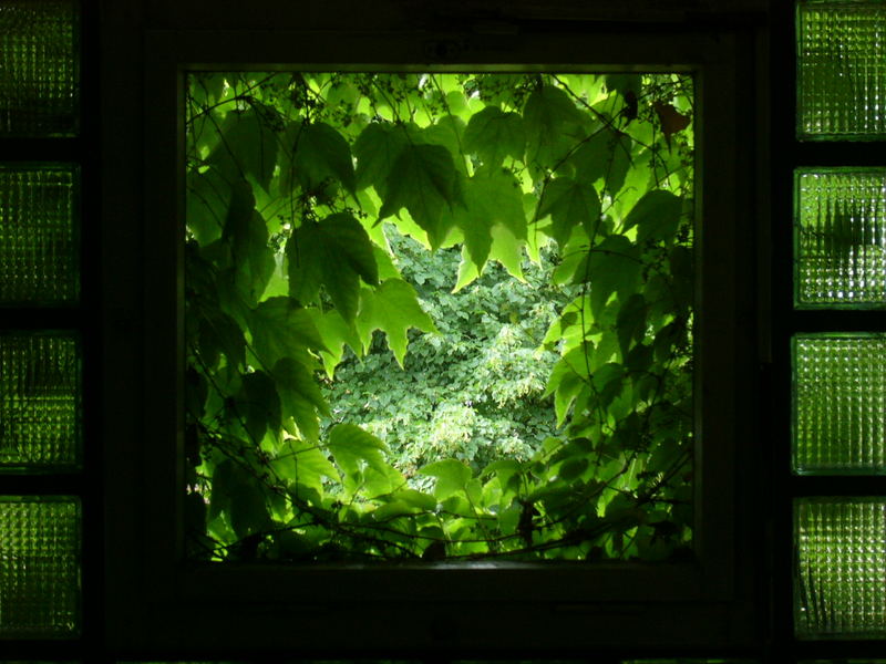 Fenster zur Natur