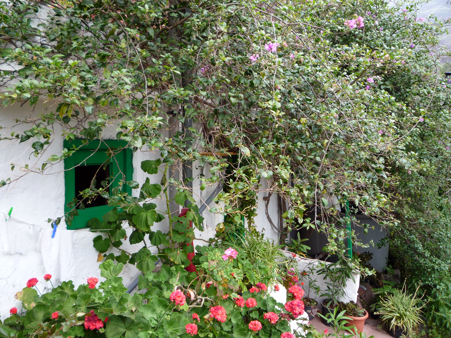 Fenster zur Natur