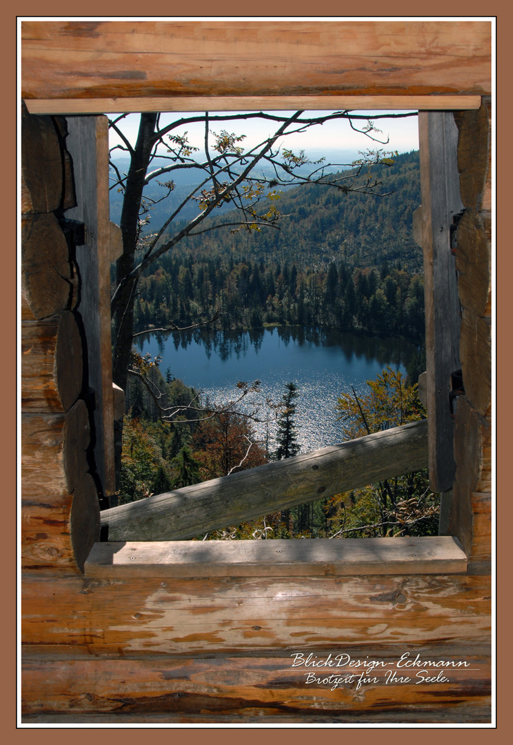 Fenster zur Natur. Aus der Rachelkapelle.