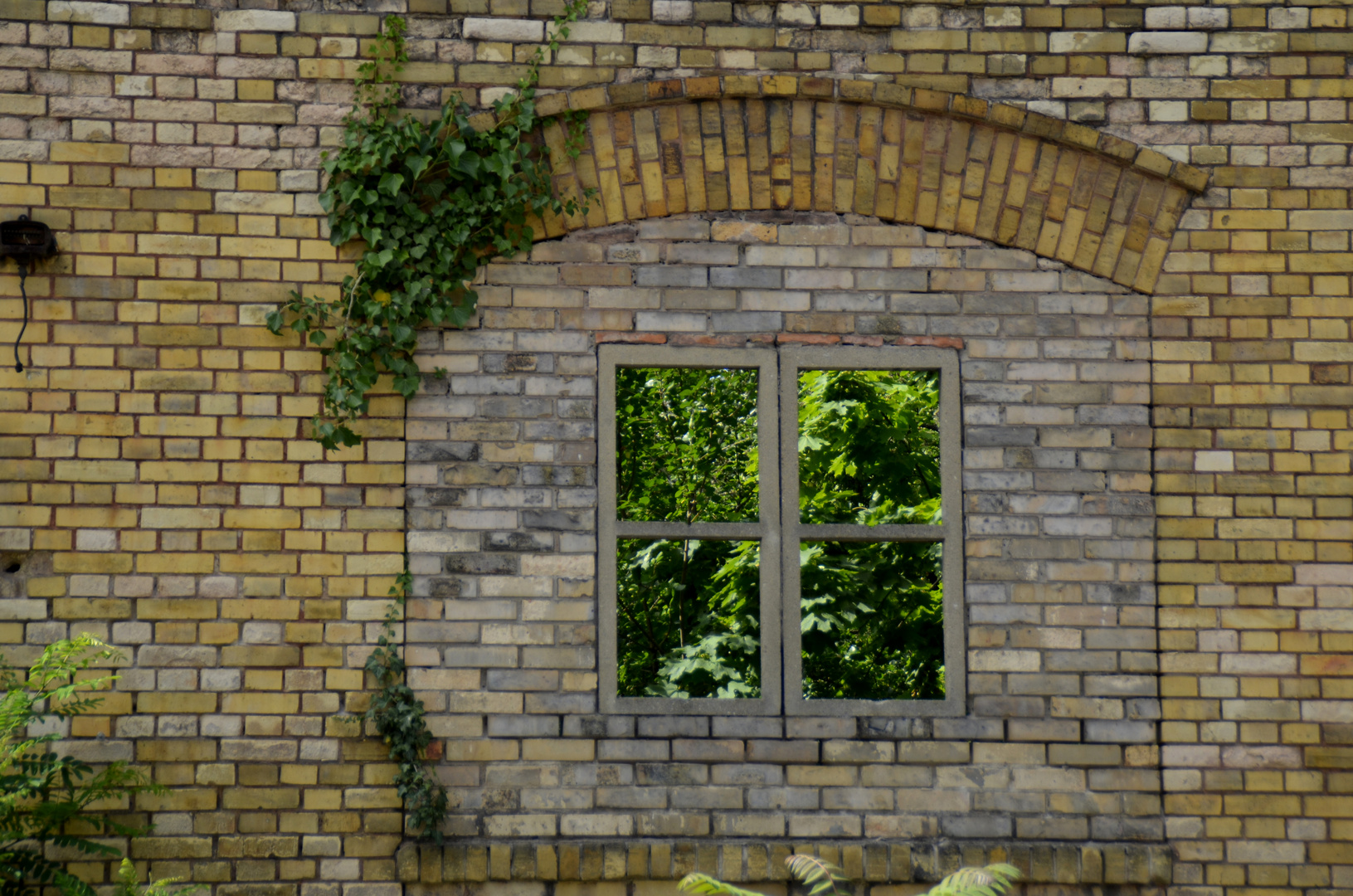 Fenster zur Natur