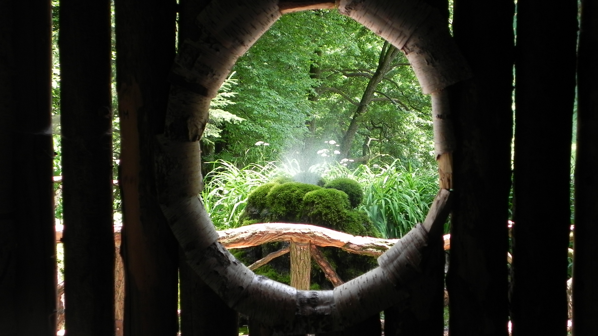 Fenster zur Natur