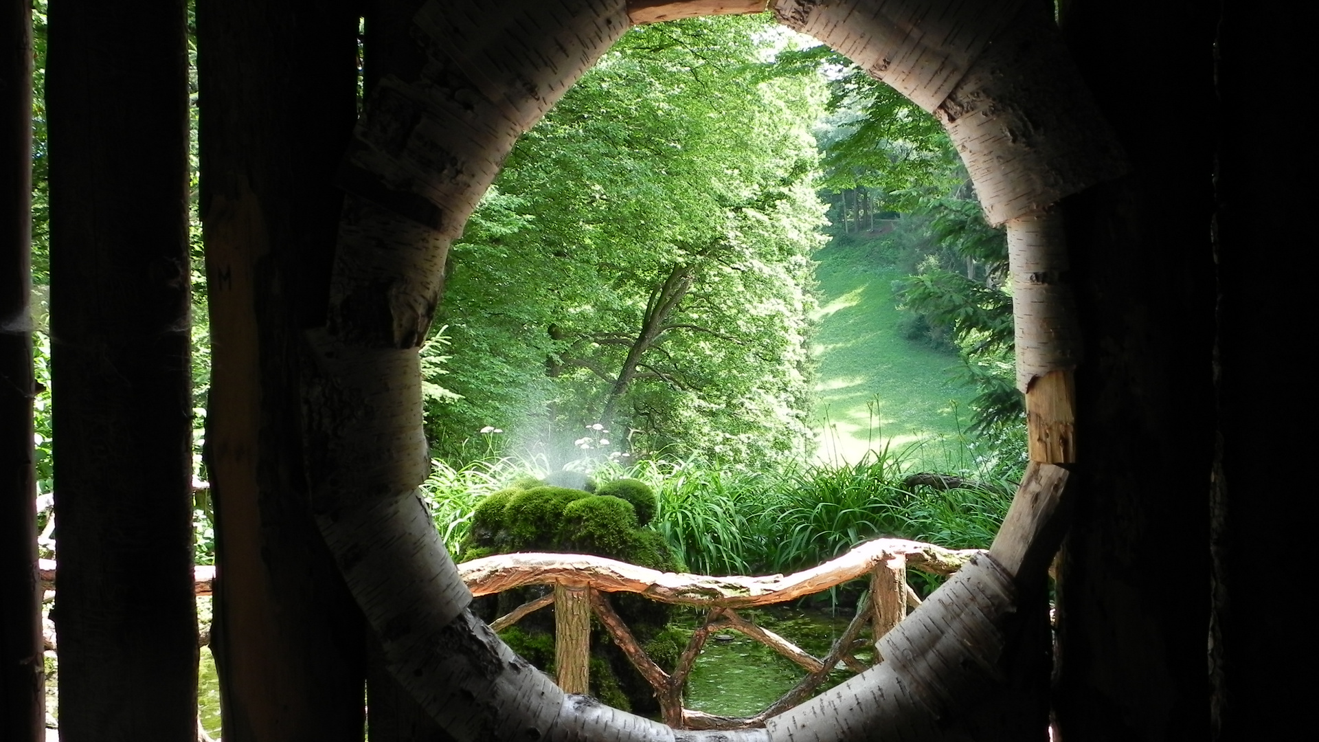 Fenster zur Natur II