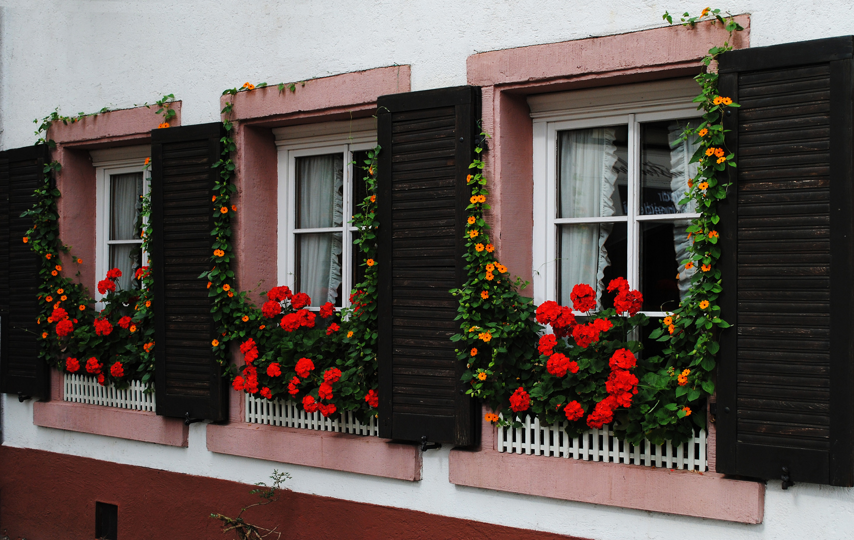 Fenster zur Strasse