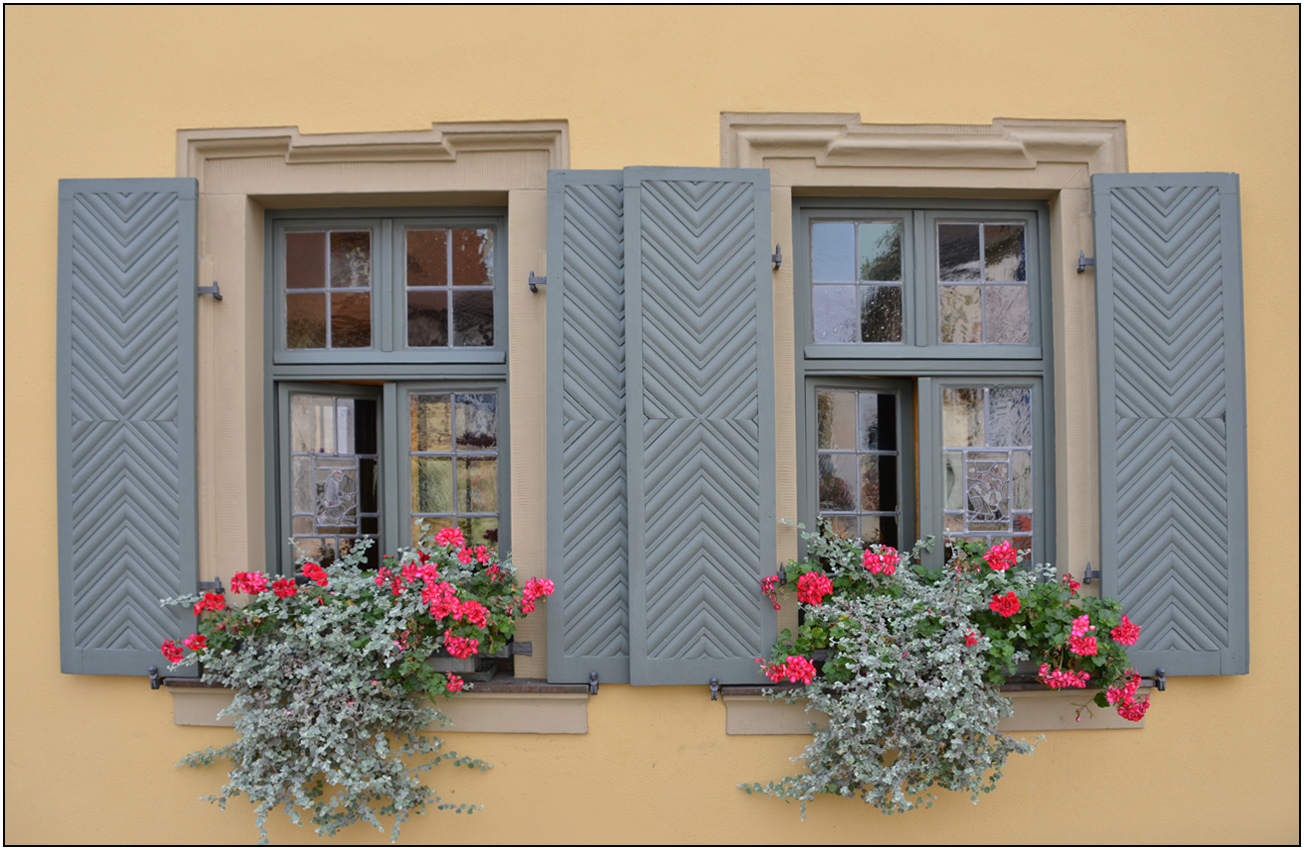 ...   fenster zur straße   ...