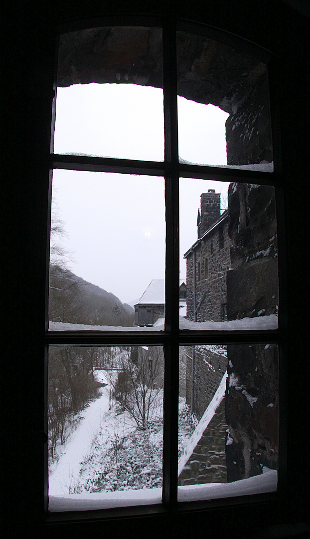 Fenster zur Winterwelt