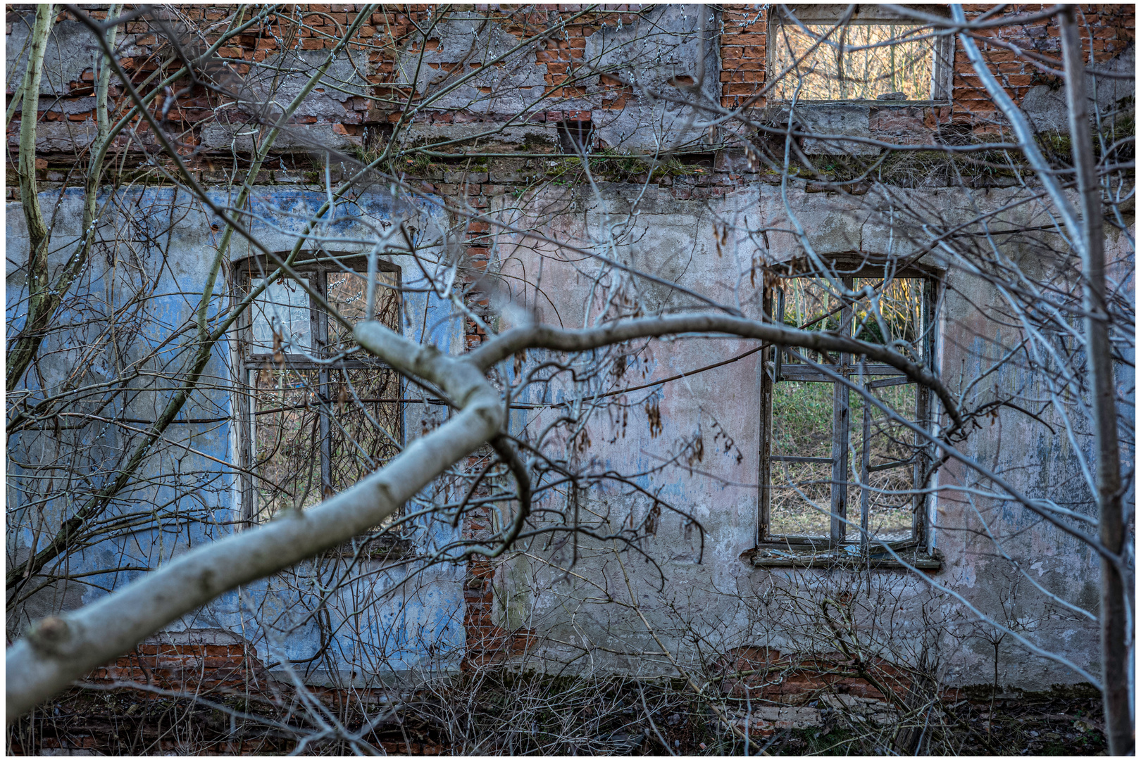 Fensteransichten