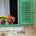 Fensterbank mit Blumen