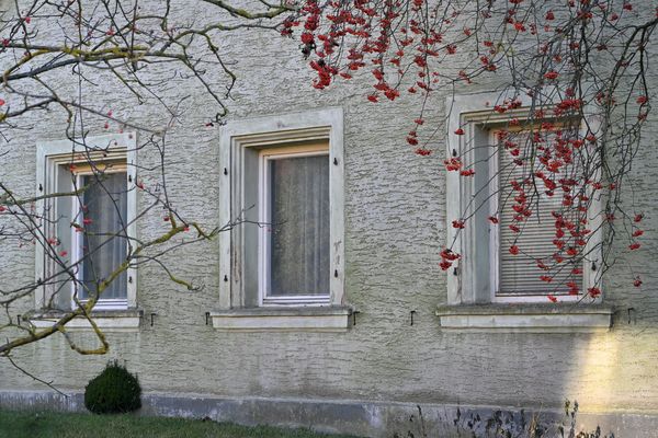 Fensterbeeren.......