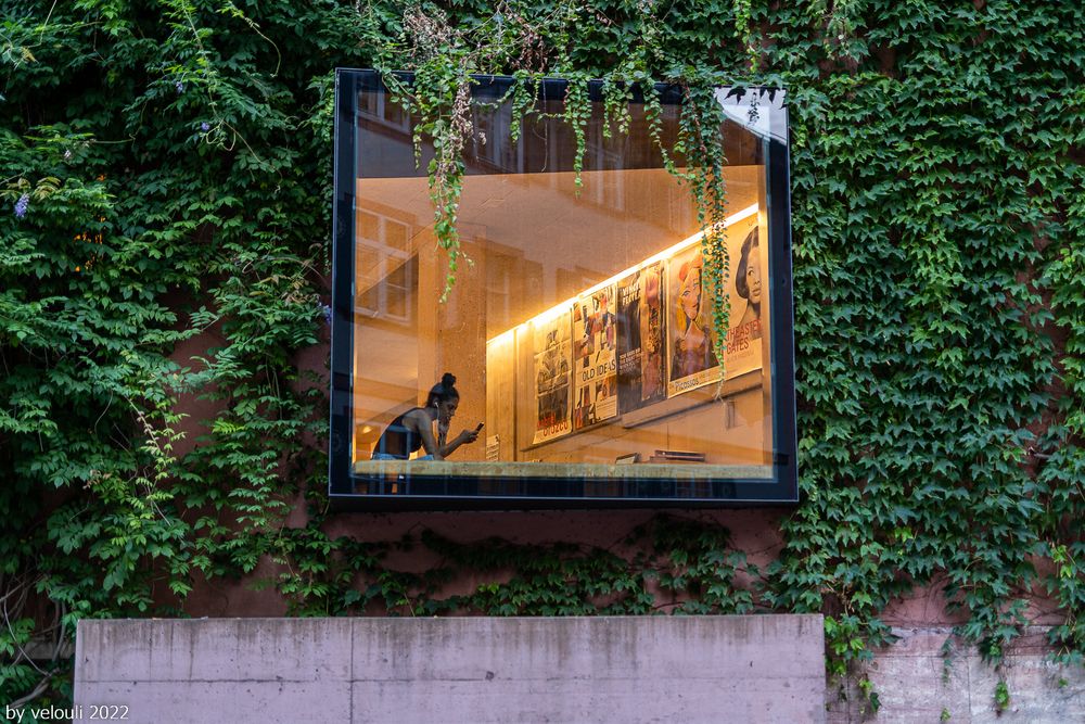 Fensterbild Foto & Bild | world, basel, menschen Bilder auf fotocommunity