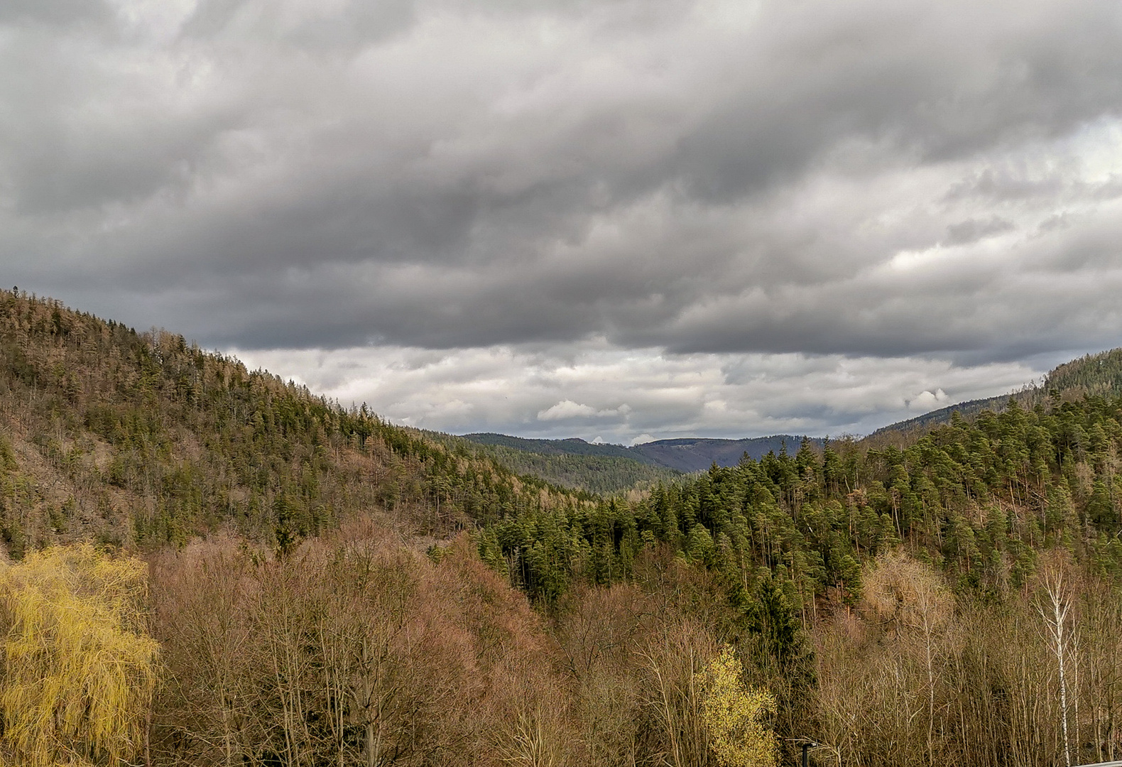 Fensterblick