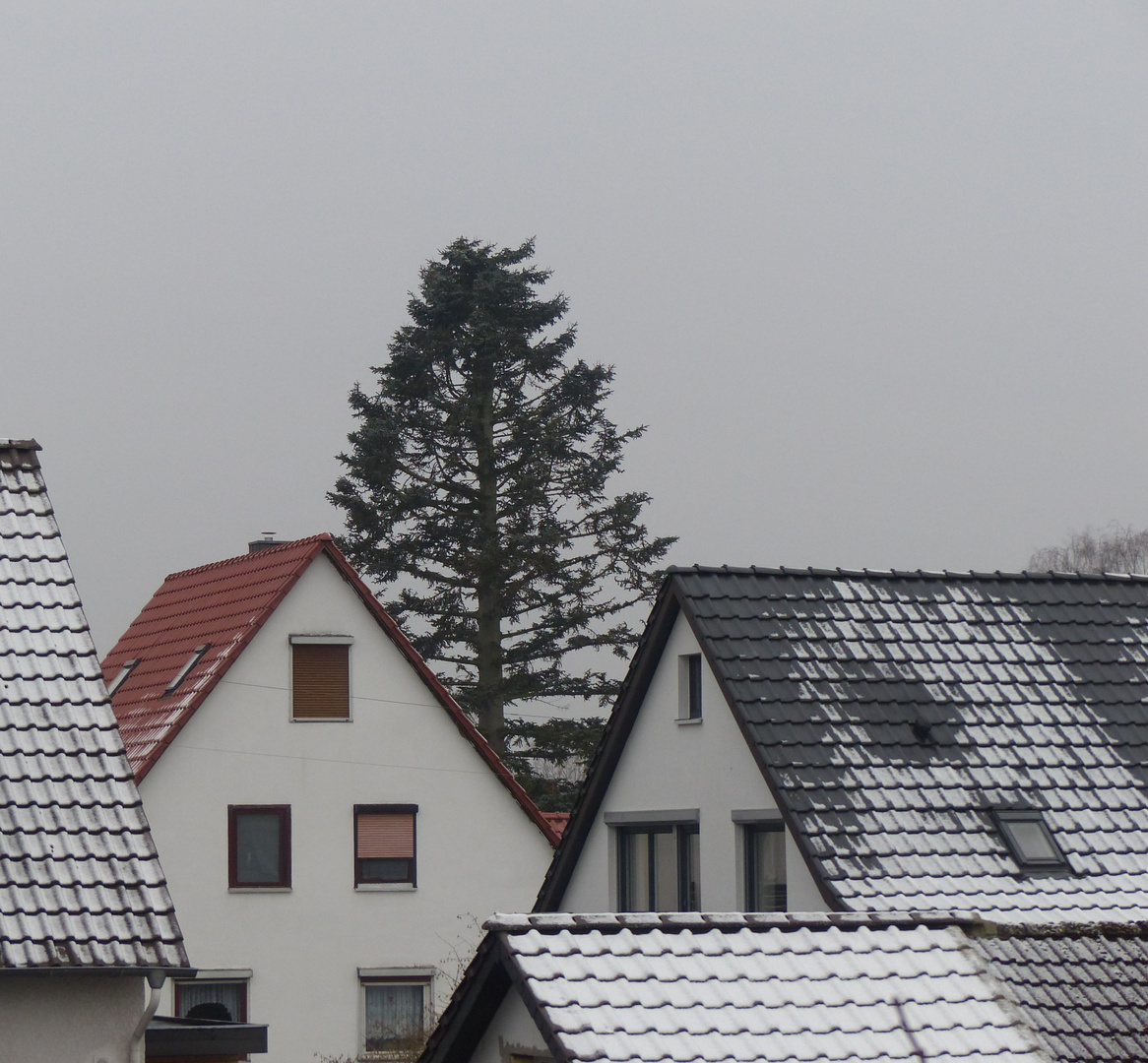 Fensterblick