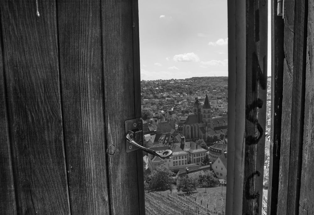 Fensterblick