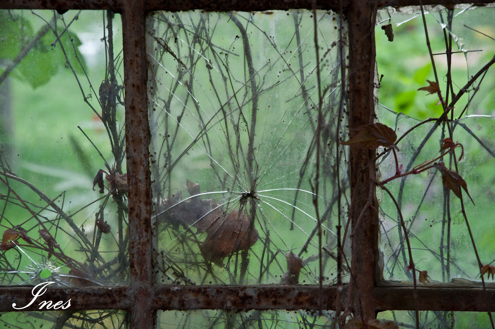 Fensterblick