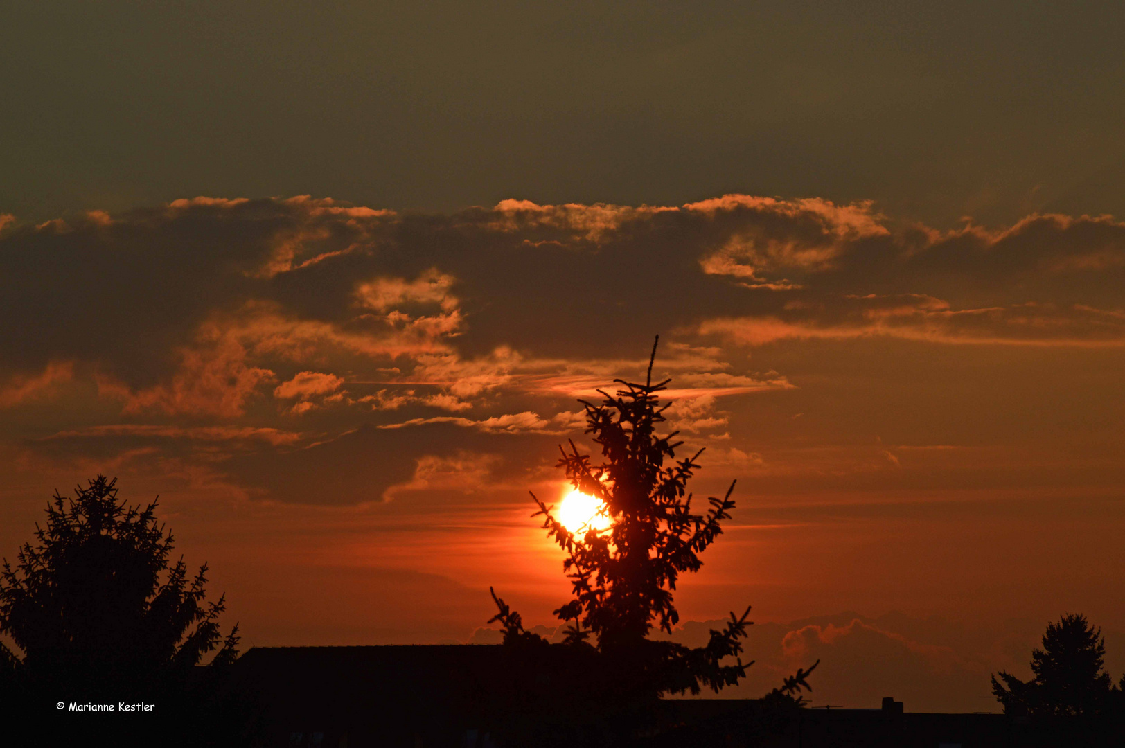 Fensterblick